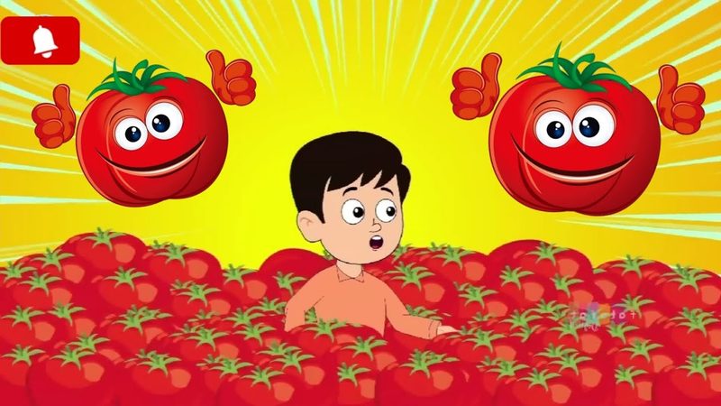 孕前体检的费用主要包括以下几个方面：